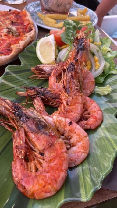 또레비에하 Casa Nola 아파트 외부 사진